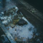 Urban puddle reflecting trees with stones and a tree stump, evoking a moody atmosphere.